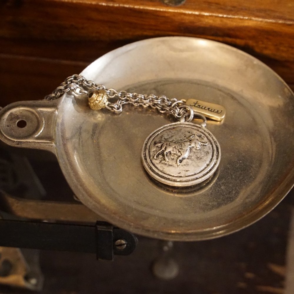 Taurus Reversible Necklace - Picture 2 of 4